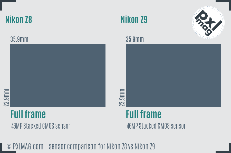 Nikon Z8 vs Nikon Z9 sensor size comparison