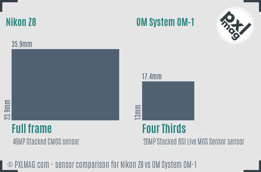 Nikon Z8 vs OM System OM-1 sensor size comparison