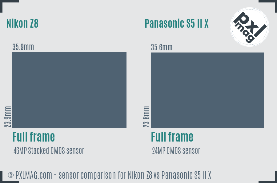 Nikon Z8 vs Panasonic S5 II X sensor size comparison