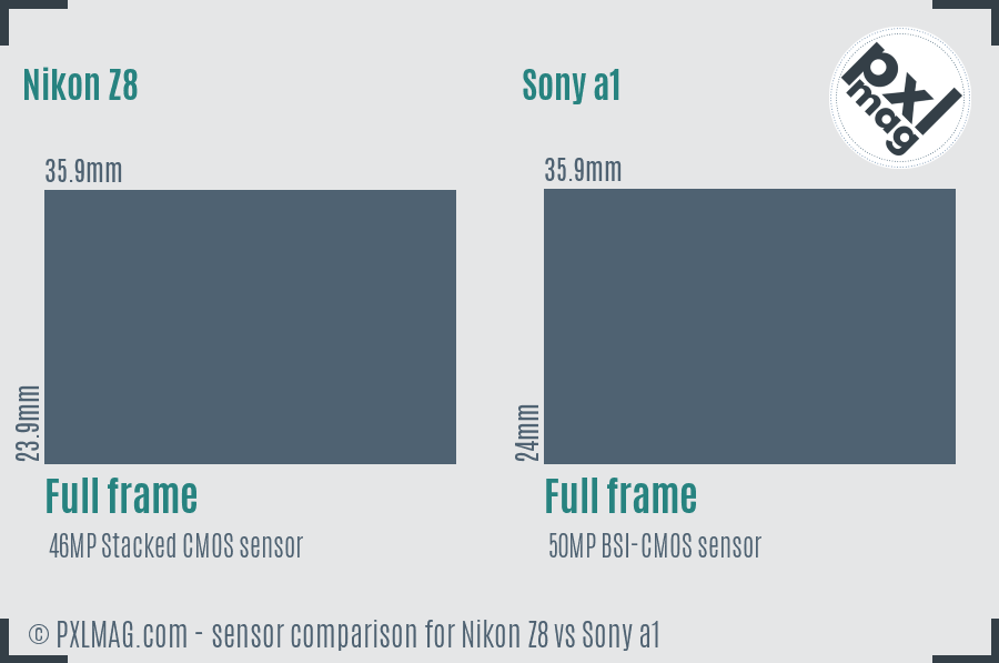 Nikon Z8 vs Sony a1 sensor size comparison