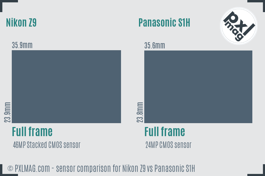 Nikon Z9 vs Panasonic S1H sensor size comparison