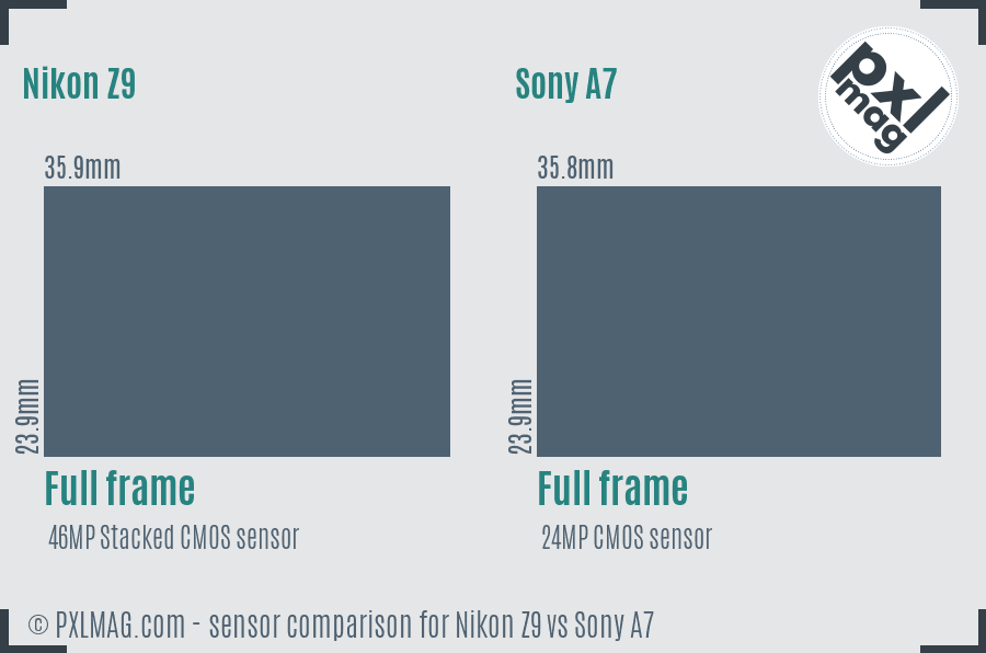 Nikon Z9 vs Sony A7 sensor size comparison