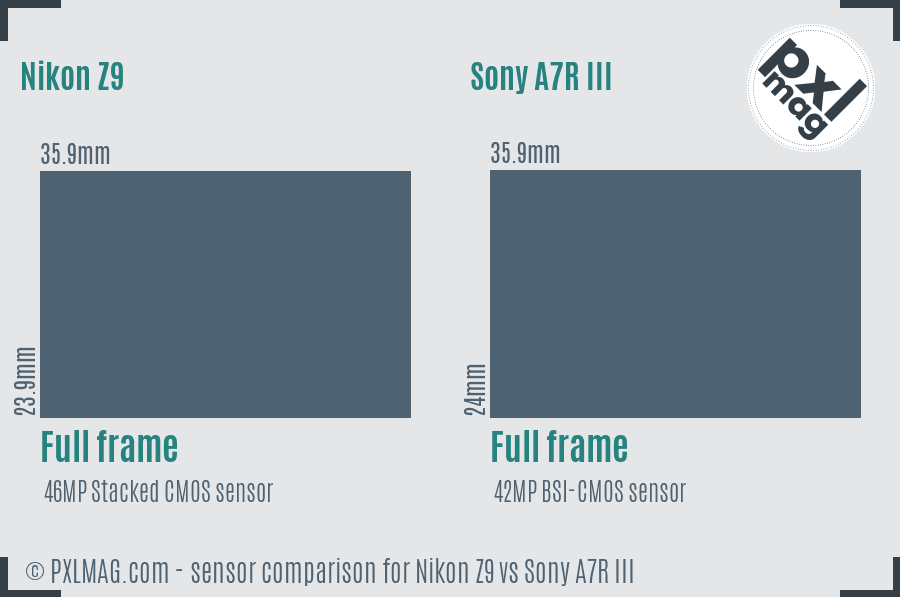 Nikon Z9 vs Sony A7R III sensor size comparison