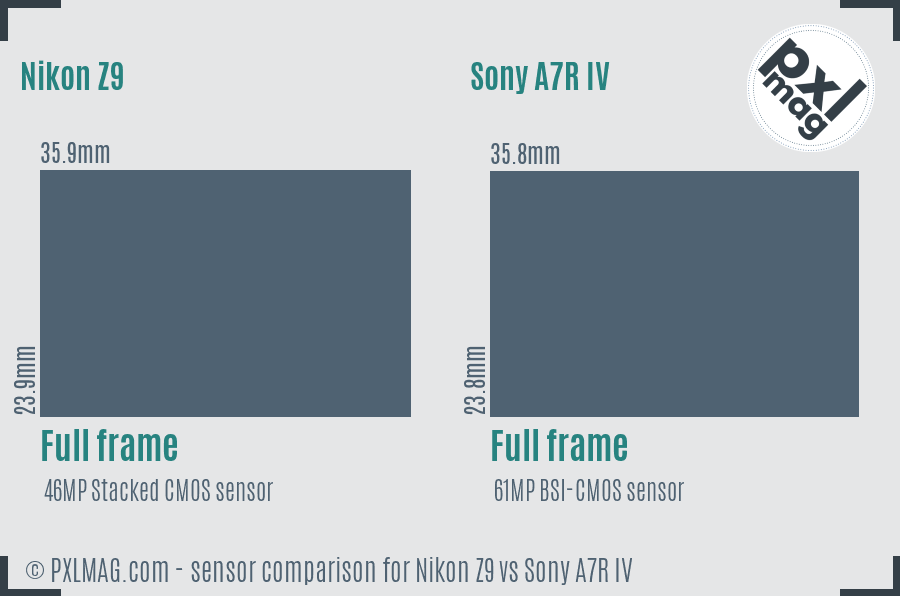 Nikon Z9 vs Sony A7R IV sensor size comparison