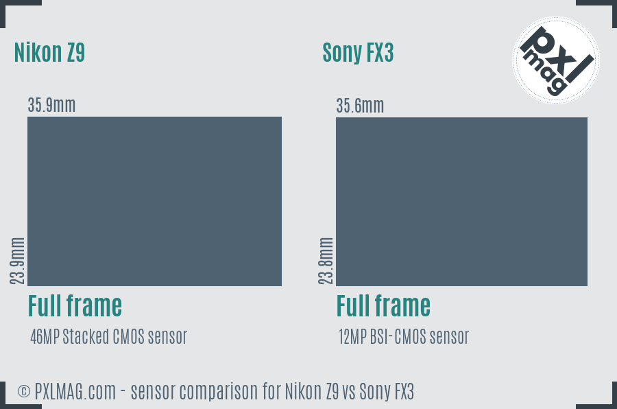 Nikon Z9 vs Sony FX3 sensor size comparison