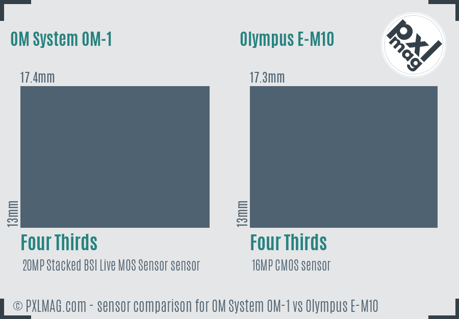 OM System OM-1 vs Olympus E-M10 sensor size comparison
