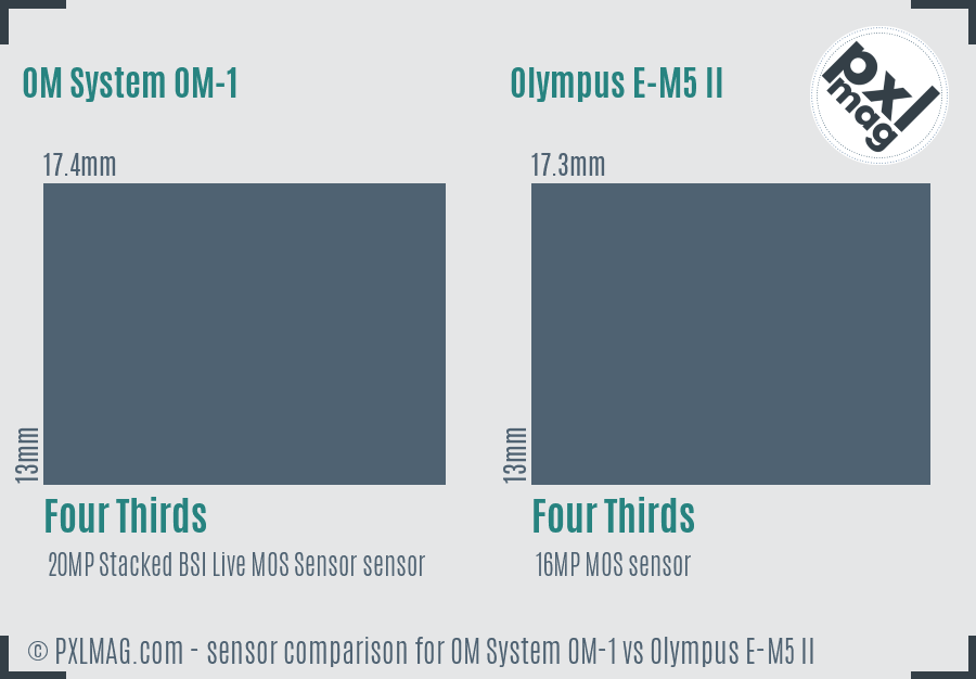 OM System OM-1 vs Olympus E-M5 II sensor size comparison OM System OM-1 vs Olympus E-M5 II sensor size comparison