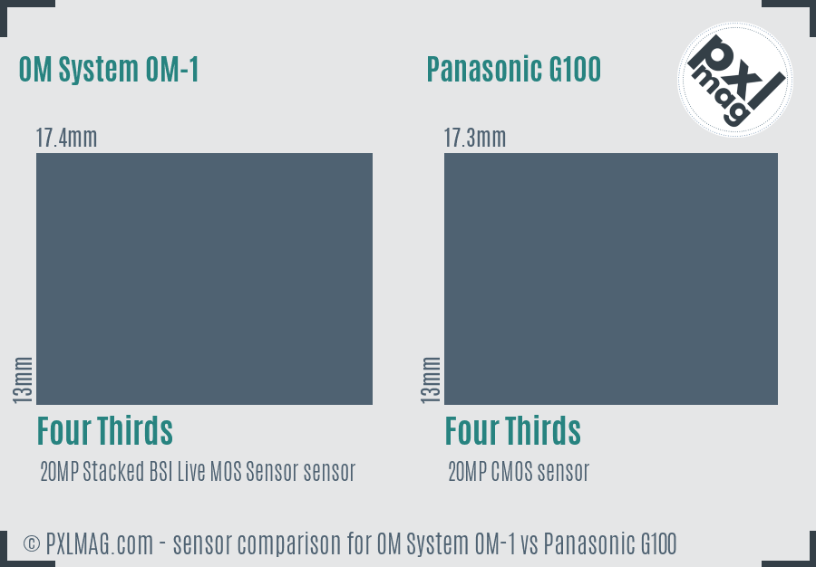 OM System OM-1 vs Panasonic G100 sensor size comparison