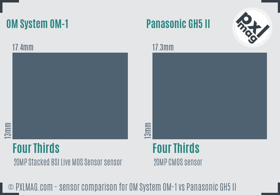 OM System OM-1 vs Panasonic GH5 II sensor size comparison