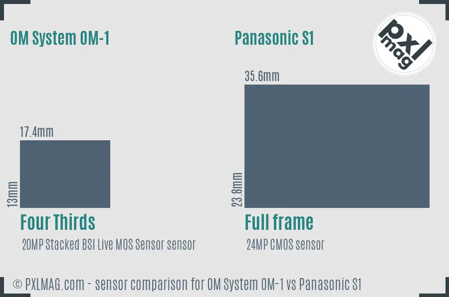 OM System OM-1 vs Panasonic S1 sensor size comparison