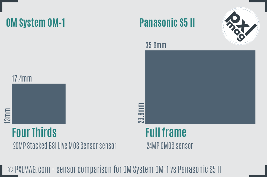 OM System OM-1 vs Panasonic S5 II sensor size comparison