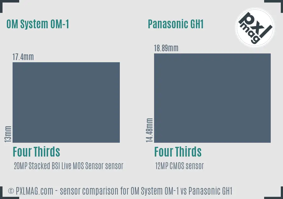 OM System OM-1 vs Panasonic GH1 sensor size comparison OM System OM-1 vs Panasonic GH1 sensor size comparison