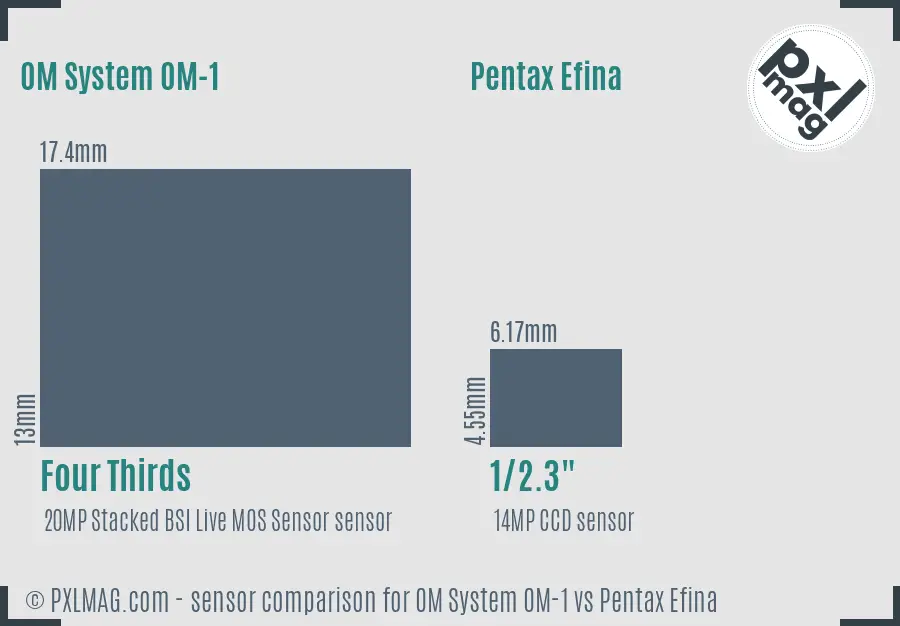 OM System OM-1 vs Pentax Efina sensor size comparison