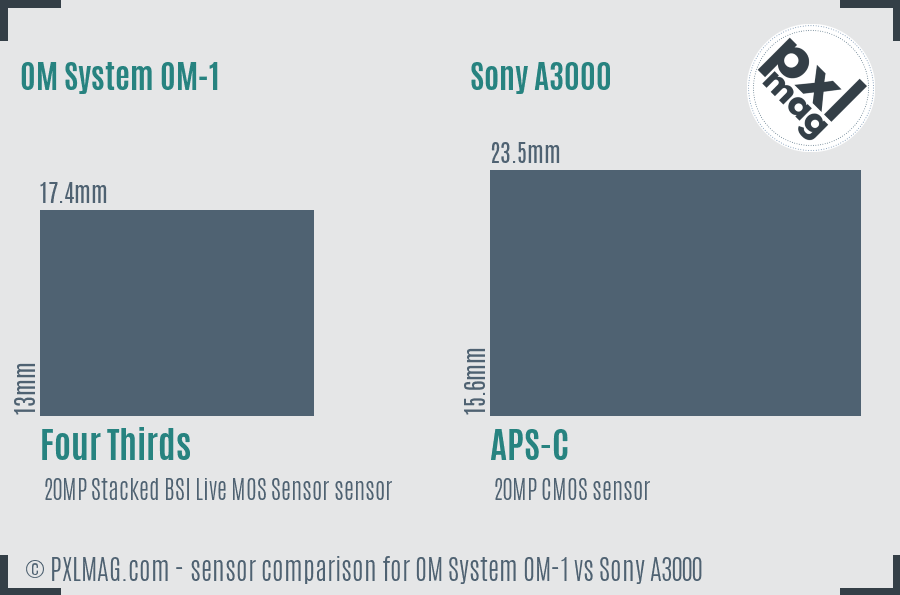 OM System OM-1 vs Sony A3000 sensor size comparison