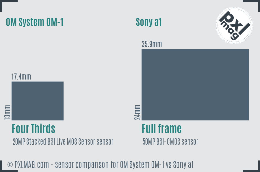 OM System OM-1 vs Sony a1 sensor size comparison