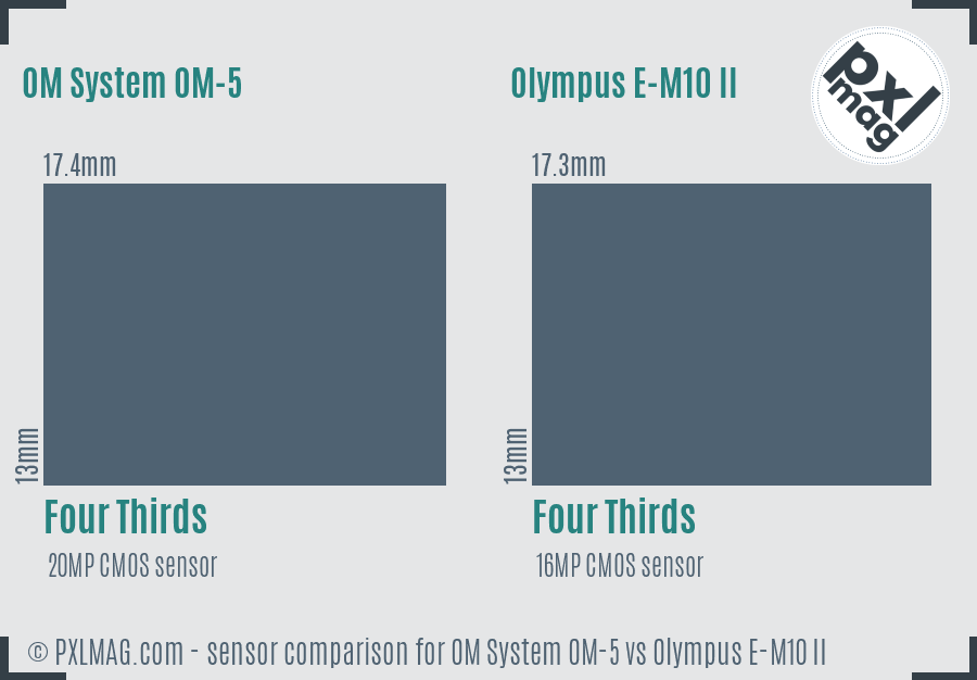 OM System OM-5 vs Olympus E-M10 II sensor size comparison OM System OM-5 vs Olympus E-M10 II sensor size comparison