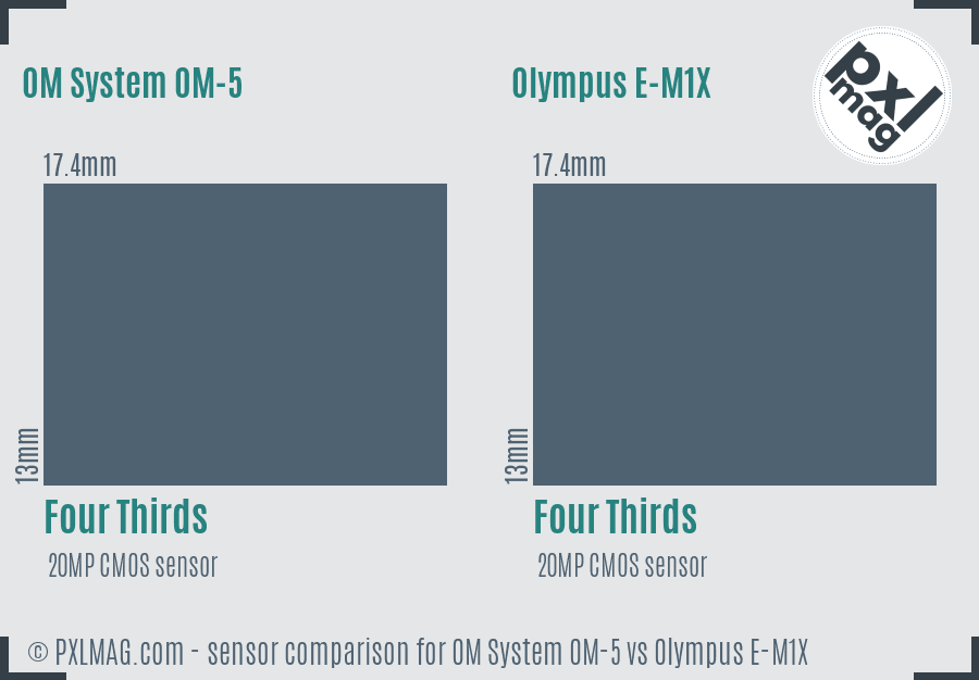 OM System OM-5 vs Olympus E-M1X sensor size comparison