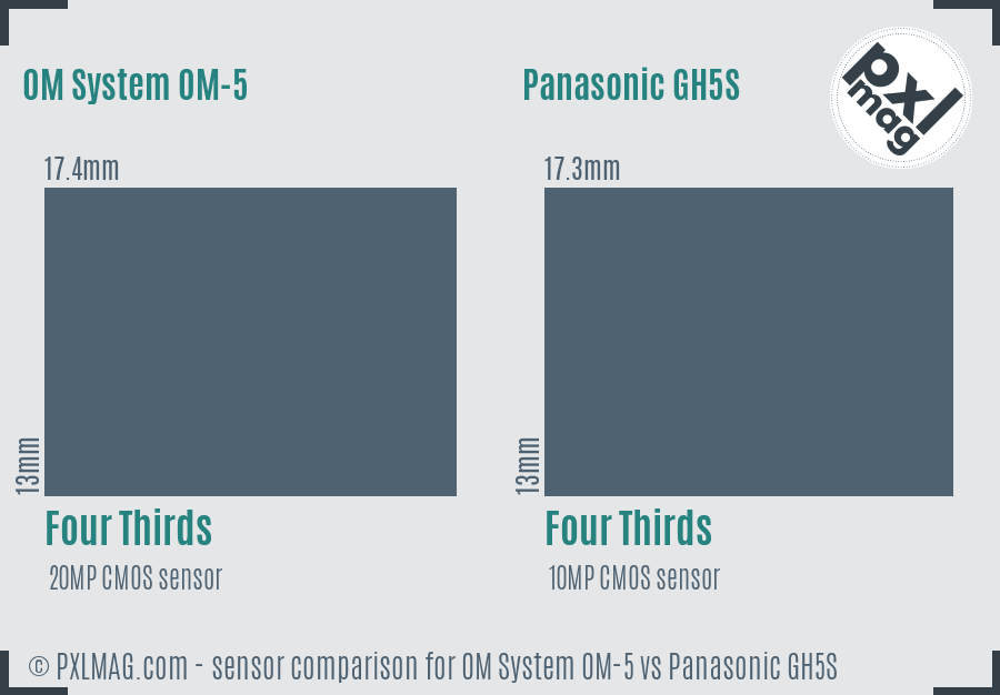 OM System OM-5 vs Panasonic GH5S sensor size comparison OM System OM-5 vs Panasonic GH5S sensor size comparison