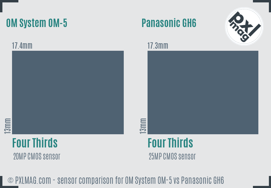 OM System OM-5 vs Panasonic GH6 sensor size comparison