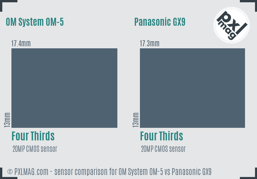 OM System OM-5 vs Panasonic GX9 sensor size comparison