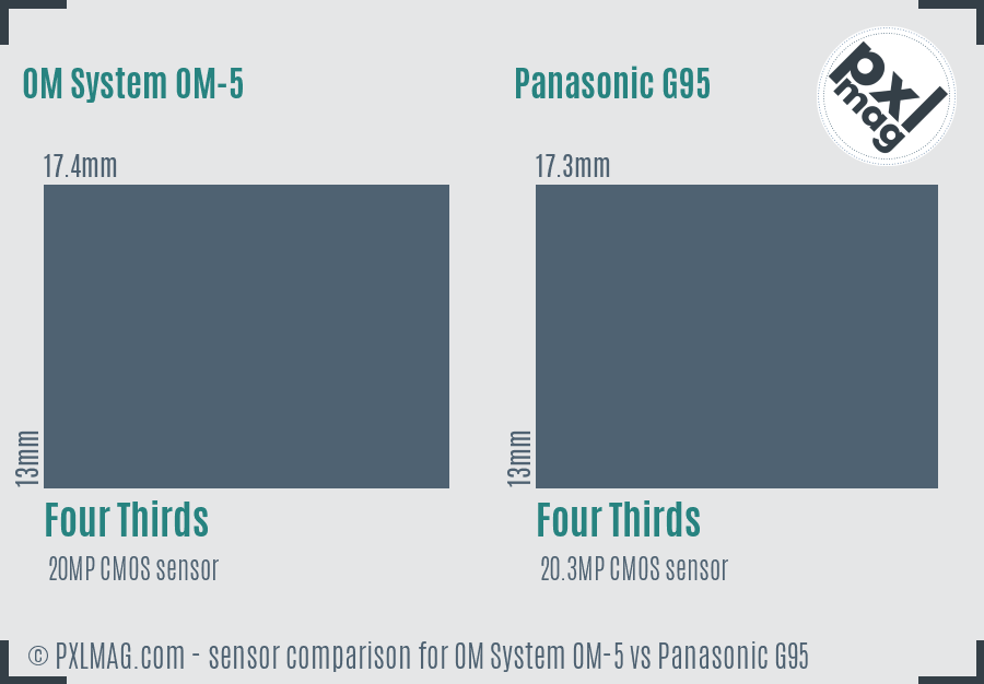 OM System OM-5 vs Panasonic G95 sensor size comparison