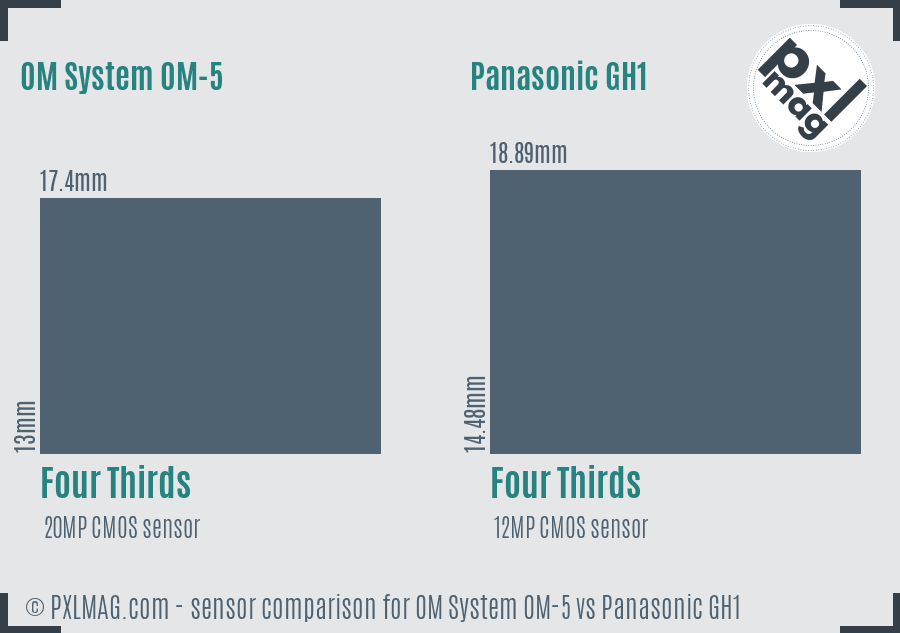 OM System OM-5 vs Panasonic GH1 sensor size comparison