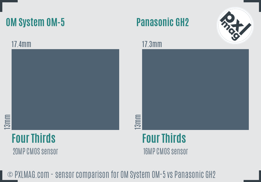 OM System OM-5 vs Panasonic GH2 sensor size comparison