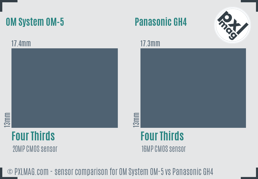 OM System OM-5 vs Panasonic GH4 sensor size comparison