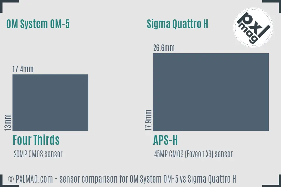 OM System OM-5 vs Sigma Quattro H sensor size comparison OM System OM-5 vs Sigma Quattro H sensor size comparison