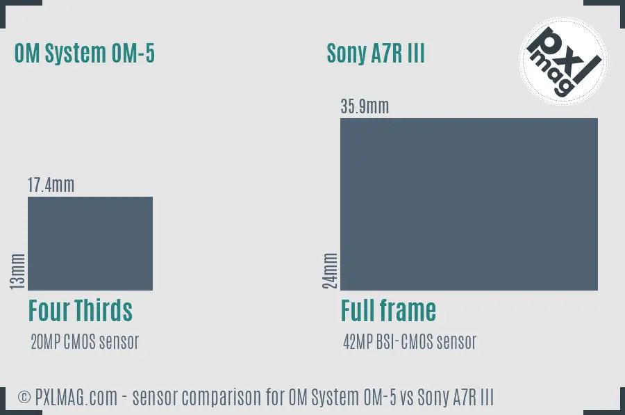 OM System OM-5 vs Sony A7R III sensor size comparison