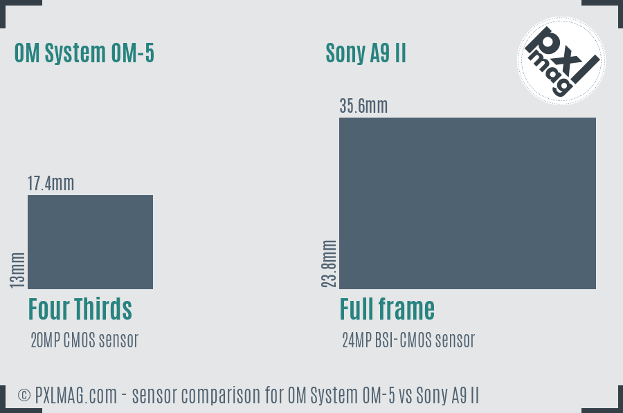 OM System OM-5 vs Sony A9 II sensor size comparison
