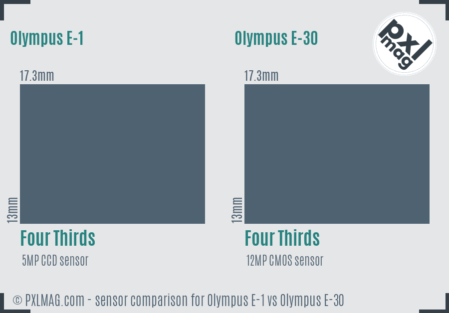 Olympus E-1 vs Olympus E-30 sensor size comparison