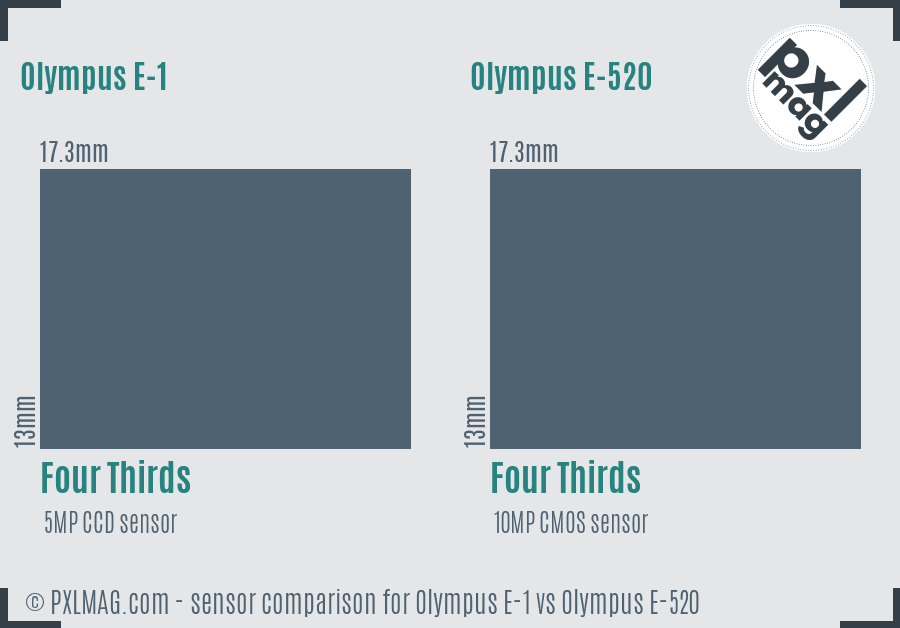 Olympus E-1 vs Olympus E-520 sensor size comparison