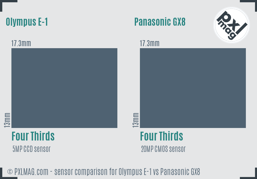 Olympus E-1 vs Panasonic GX8 sensor size comparison