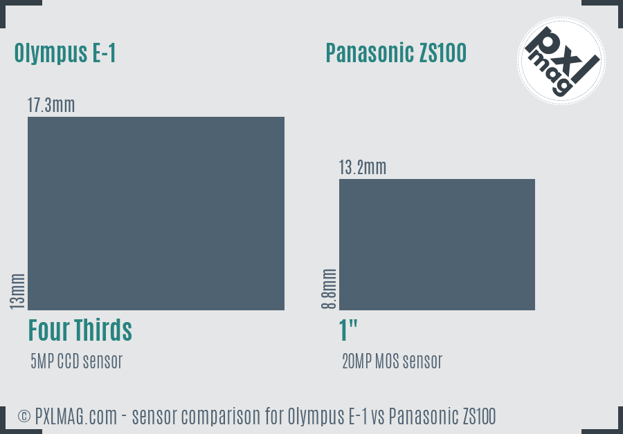 Olympus E-1 vs Panasonic ZS100 sensor size comparison