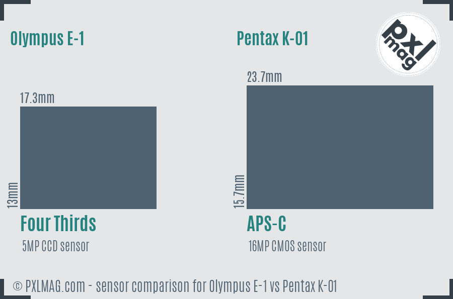 Olympus E-1 vs Pentax K-01 sensor size comparison