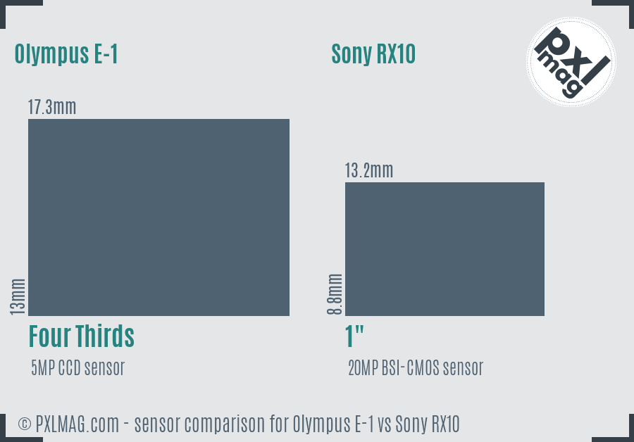 Olympus E-1 vs Sony RX10 sensor size comparison
