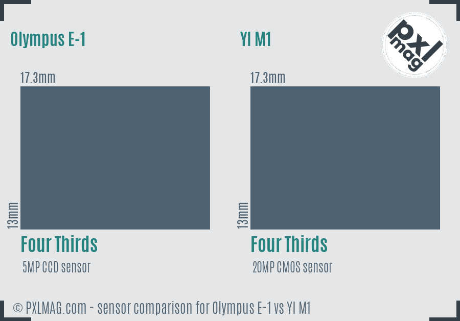 Olympus E-1 vs YI M1 sensor size comparison