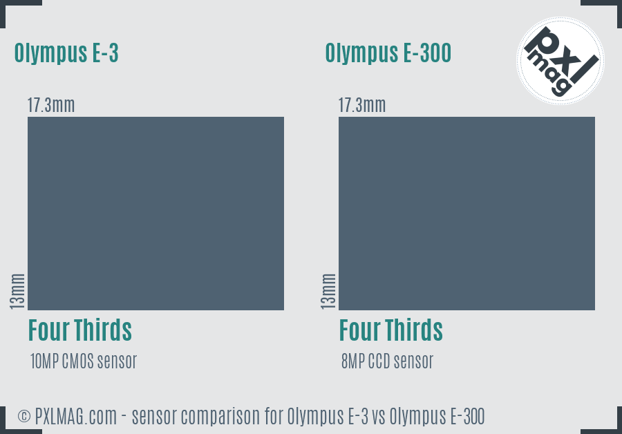 Olympus E-3 vs Olympus E-300 sensor size comparison