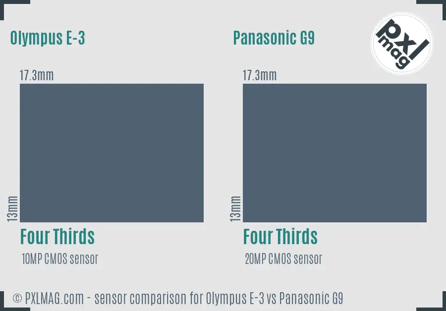 Olympus E-3 vs Panasonic G9 sensor size comparison
