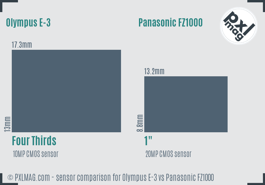Olympus E-3 vs Panasonic FZ1000 sensor size comparison