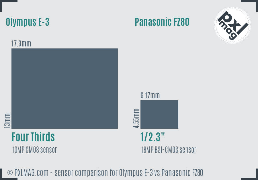 Olympus E-3 vs Panasonic FZ80 sensor size comparison