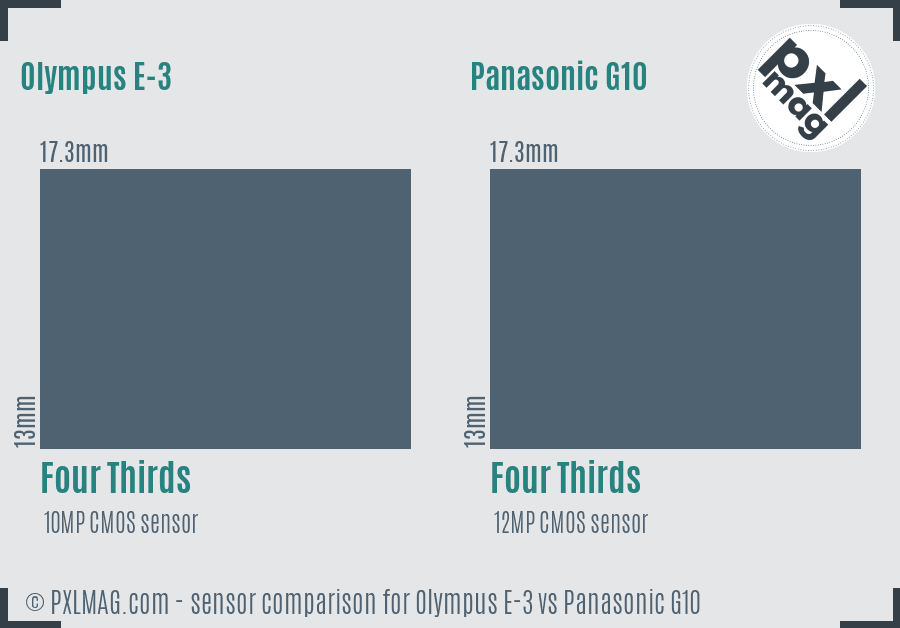 Olympus E-3 vs Panasonic G10 sensor size comparison