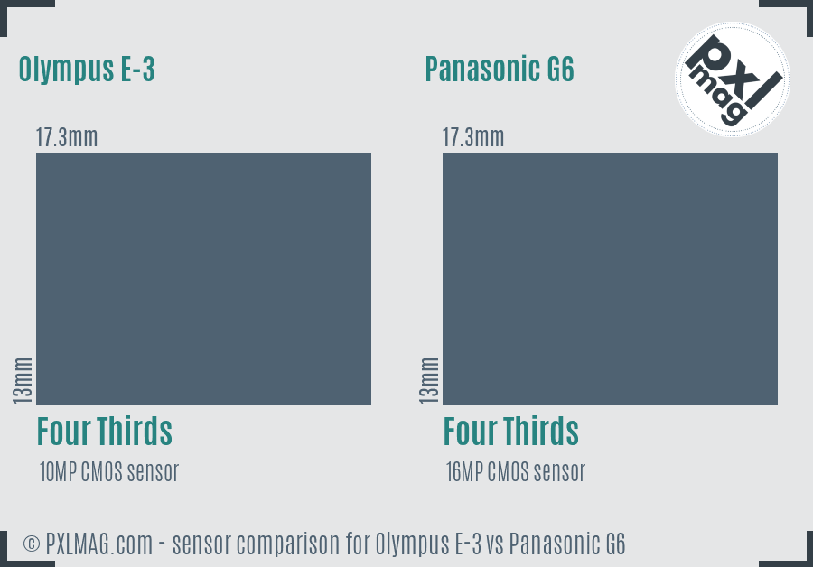 Olympus E-3 vs Panasonic G6 sensor size comparison