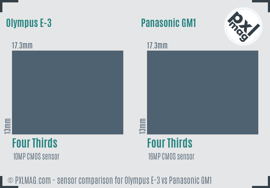 Olympus E-3 vs Panasonic GM1 sensor size comparison