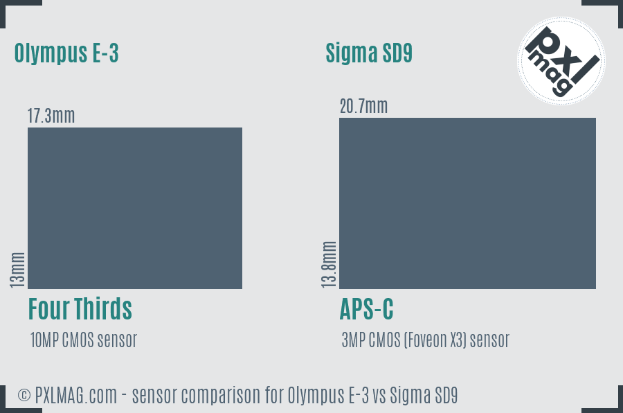 Olympus E-3 vs Sigma SD9 sensor size comparison