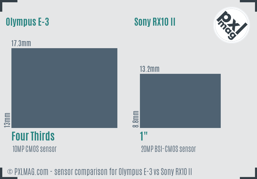 Olympus E-3 vs Sony RX10 II sensor size comparison