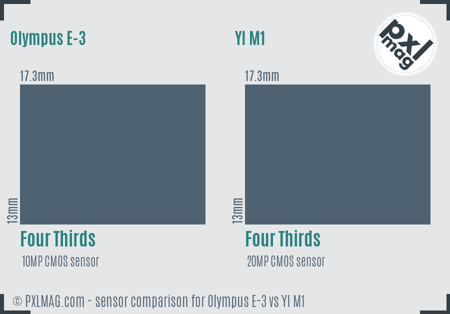 Olympus E-3 vs YI M1 sensor size comparison