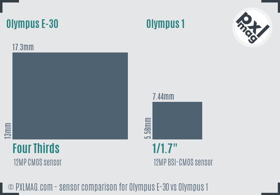 Olympus E-30 vs Olympus 1 sensor size comparison