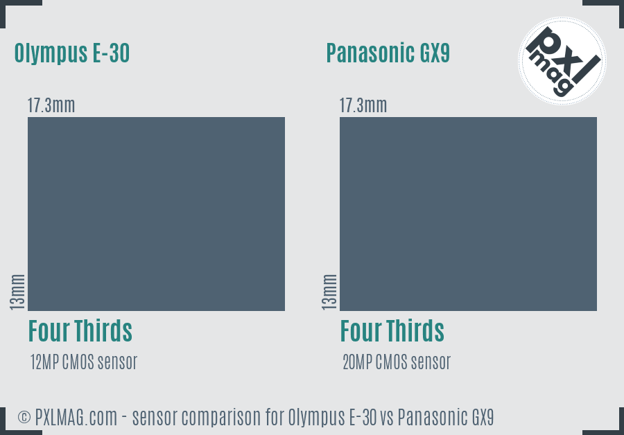 Olympus E-30 vs Panasonic GX9 sensor size comparison